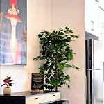 Sveltos Larnaca